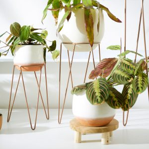 Shop Plant Stands